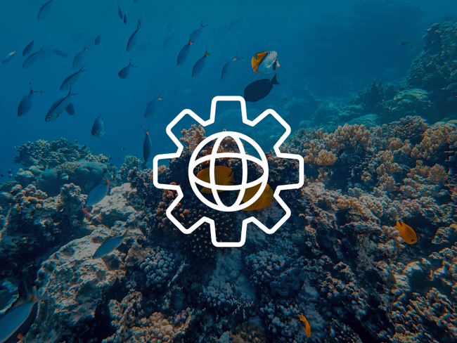 Comprendre l’écosystème client : une base essentielle pour réussir un projet digital